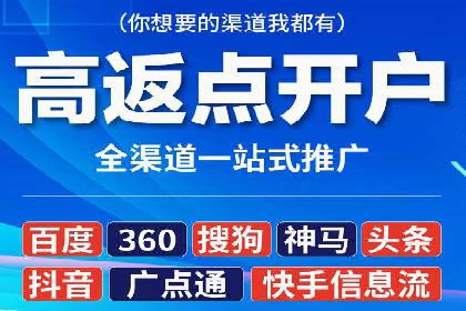 竞价广告的深度解析：以一知名品牌为例